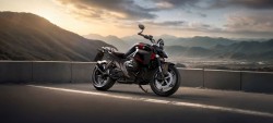 R 1300 R
